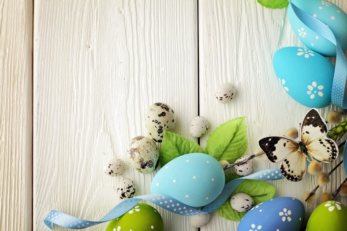 Easter eggs and butterfly on white wooden background