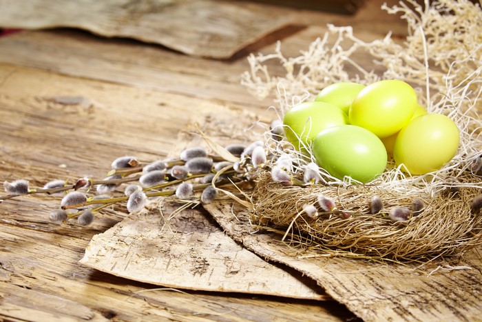 Easter eggs in a nest with pussy willow branches