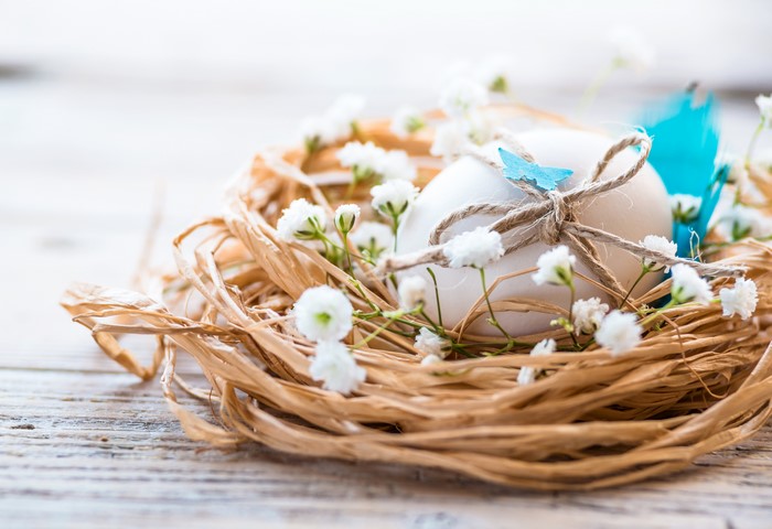 Easter egg in a nest with flowers