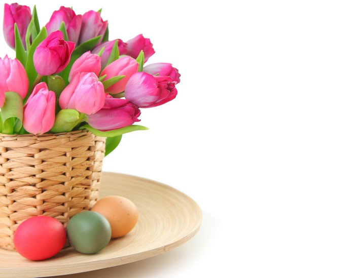 Pink Tulips in Wicker Basket with Easter Eggs