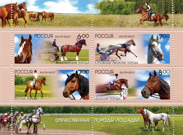 Russian Postage Stamps: Vladimir, Orel, Vyatka, and Don Horse Breeds