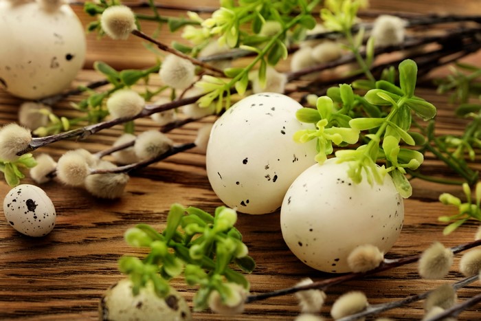 Easter eggs and pussy willow branches
