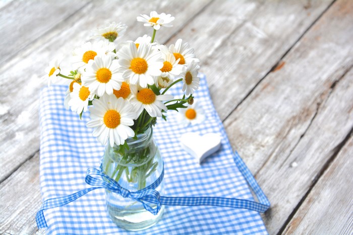 Bouquet of Camomiles in a Vase with Blue Bowknot