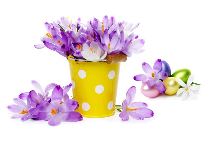 Easter Crocuses and Eggs in a Yellow Bucket