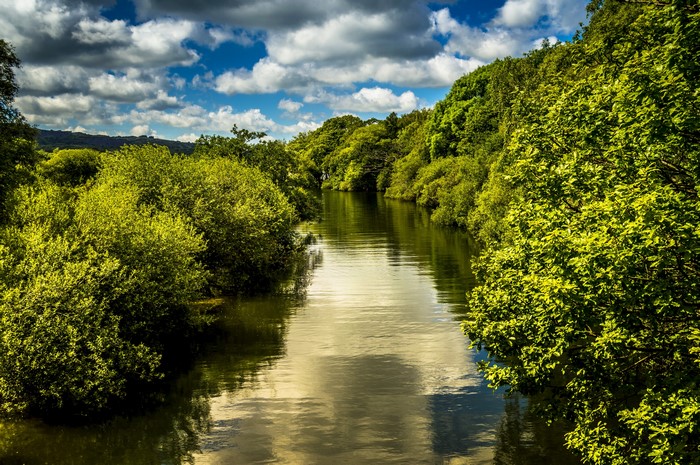 River and trees in Llanberis, United Kingdom