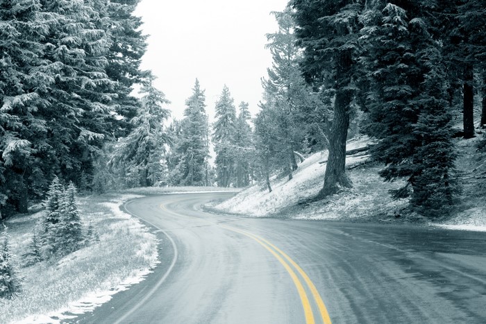 Winding road through a snowy forest