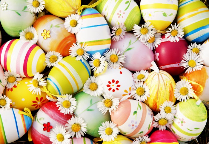 Easter Eggs with Camomiles