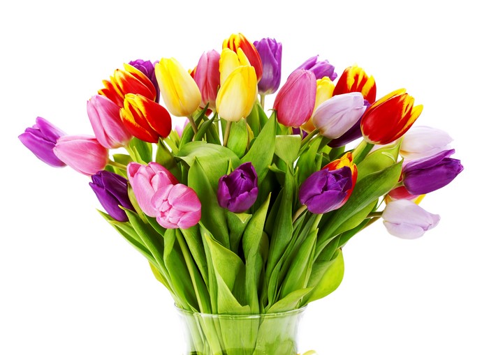 Many colorful tulips in a vase