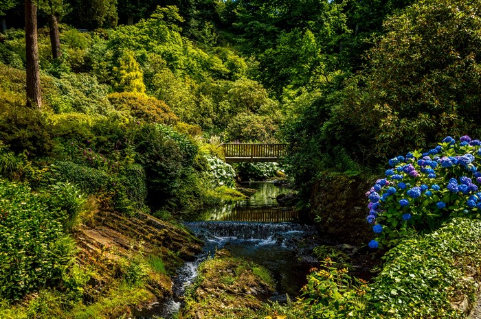 Bodnant Gardens Waterfall and Bridge in Wales
