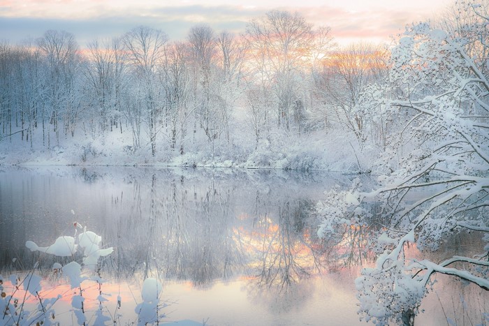 Two swans on a snowy lake at sunrise