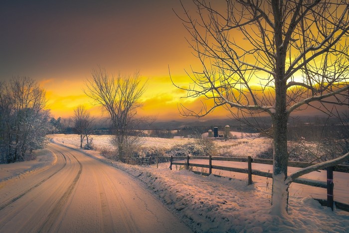 Winter road with snow and trees at sunset