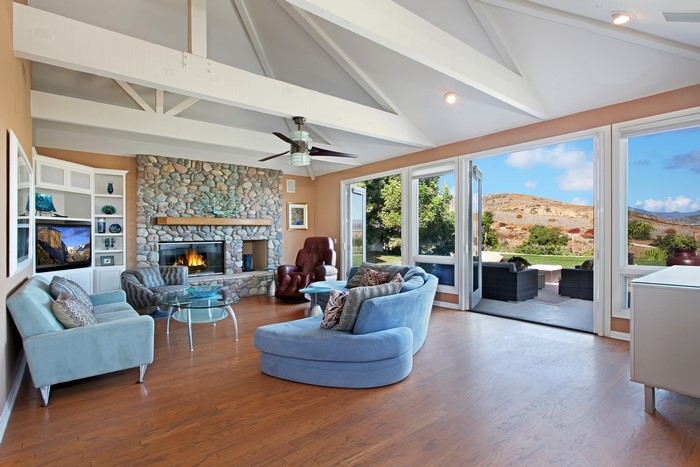 Living room with sofa and fireplace