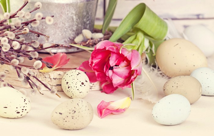 Easter Eggs and Pink Tulip with Pussy Willows