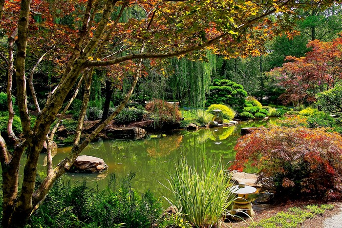 Ball Ground Gibbs Gardens Pond with Autumn Foliage
