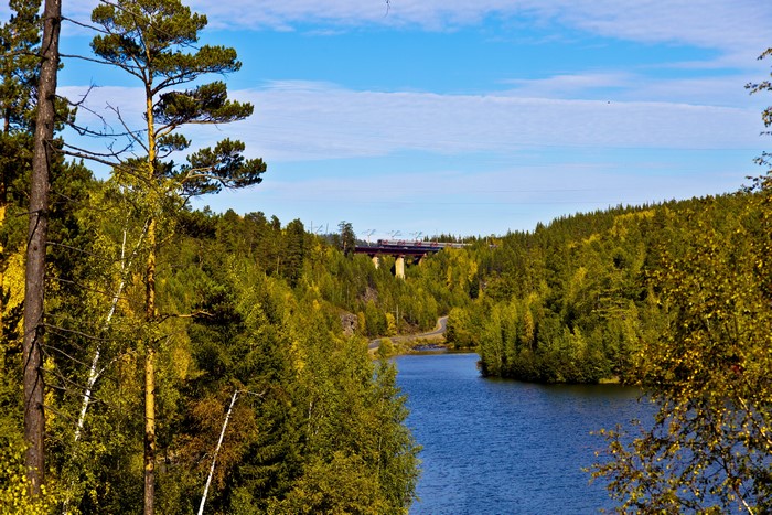 River and forest with a train bridge in Russia