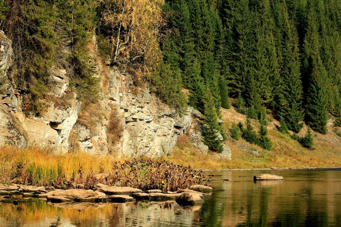 Riverbank with Rocky Cliff and Spruce Forest in Russia