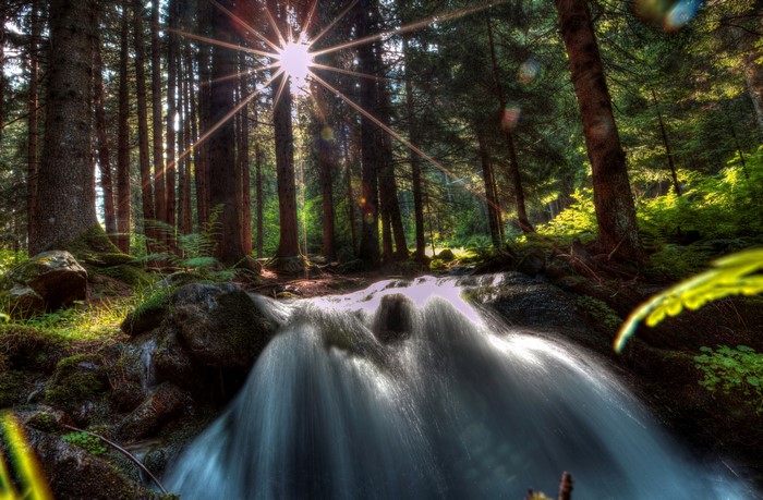 Sunlight Rays Through Forest Trees onto Waterfall