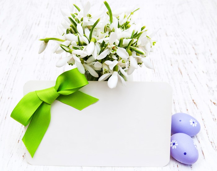 Easter Snowdrops with Card and Eggs