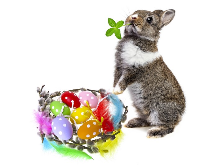 Easter bunny with decorated eggs and clover