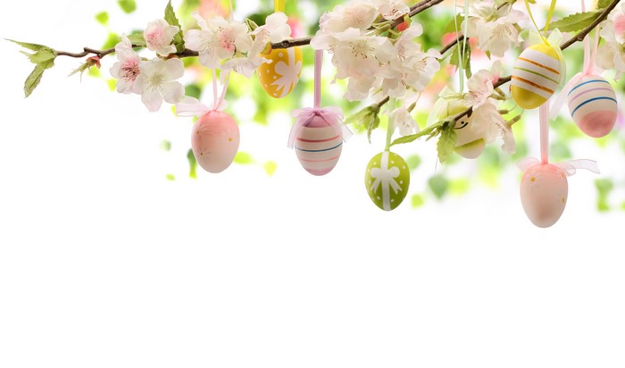 Easter Eggs Hanging on Cherry Blossoms