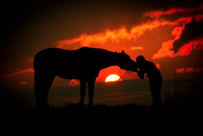Silhouette of a person kissing a horse at sunset