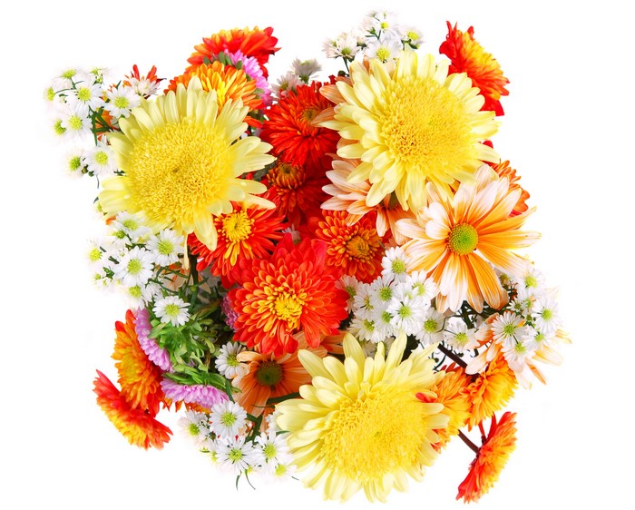 Bouquets of colorful flowers on white background