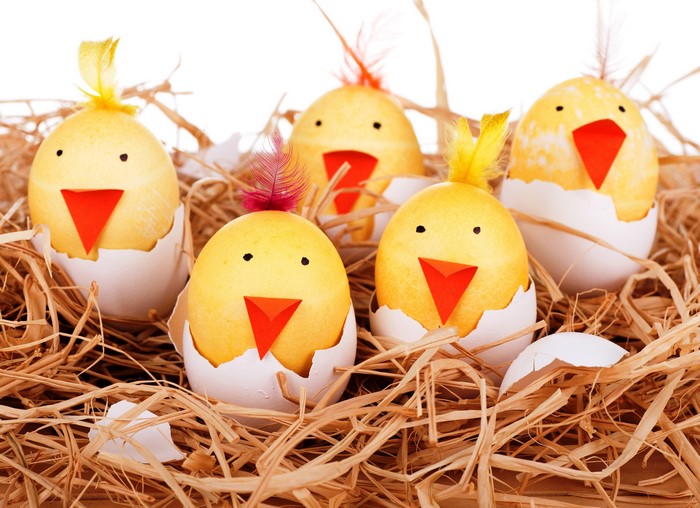 Easter chicks made from eggs in straw nest