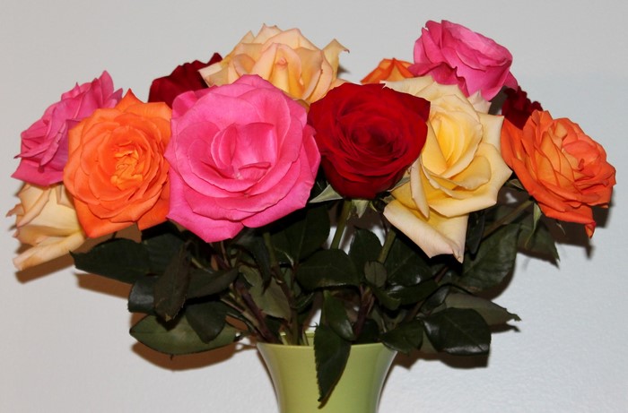 Bouquet of colorful roses in a vase