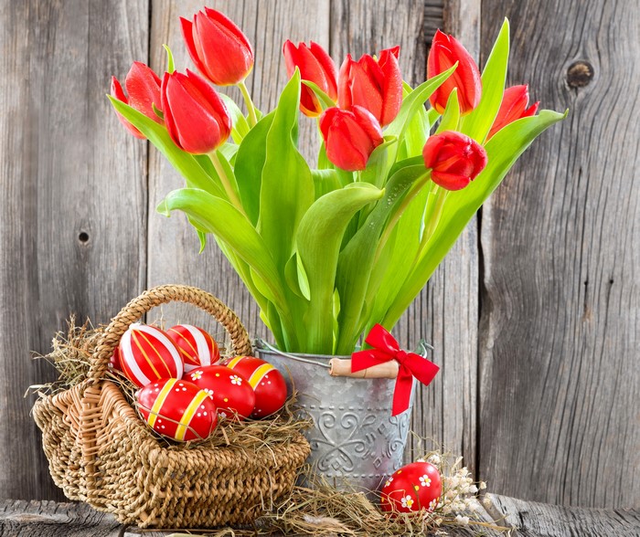Easter Tulips and Eggs in Wicker Basket