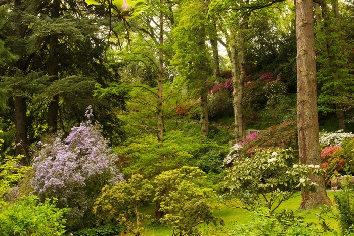 Bodnant Gardens, Wales, United Kingdom