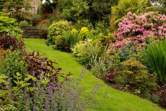 Mount Pleasant Garden with Flowering Shrubs and Green Grass