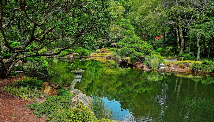 Gibbs Gardens Pond with Japanese Lantern and Trees