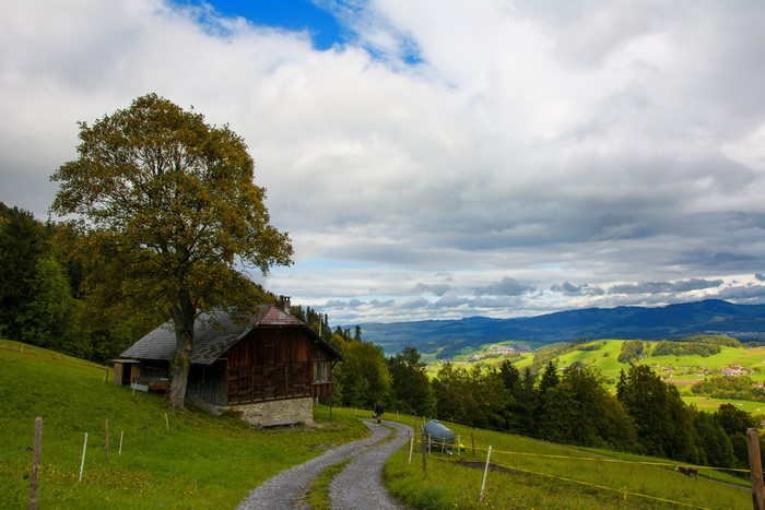 4K Scenery of Wattenwil, Switzerland with Trees and Trail