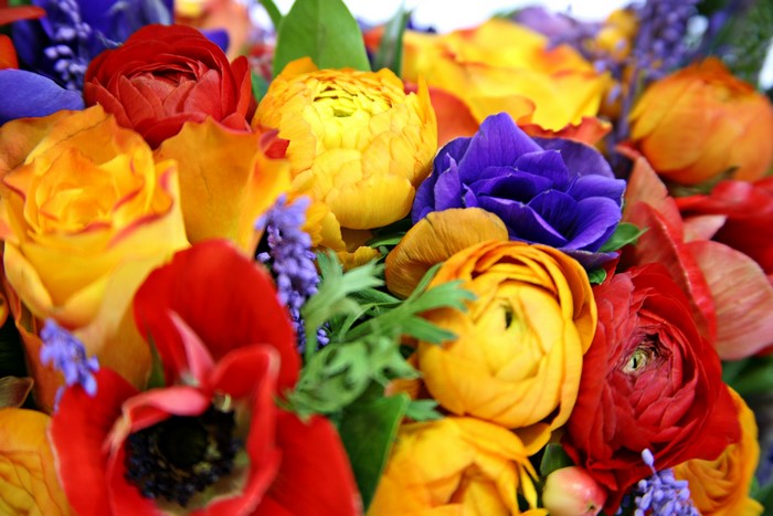 Colorful bouquet of Roses, Ranunculus, and Poppies