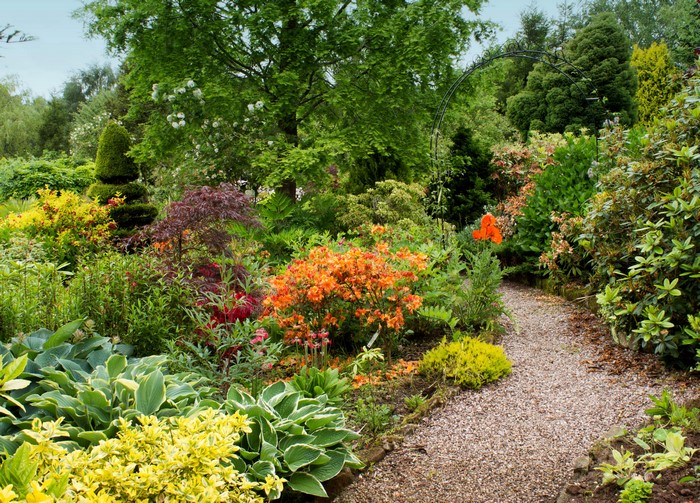 Mount Pleasant Gardens Trail with Vibrant Shrubs