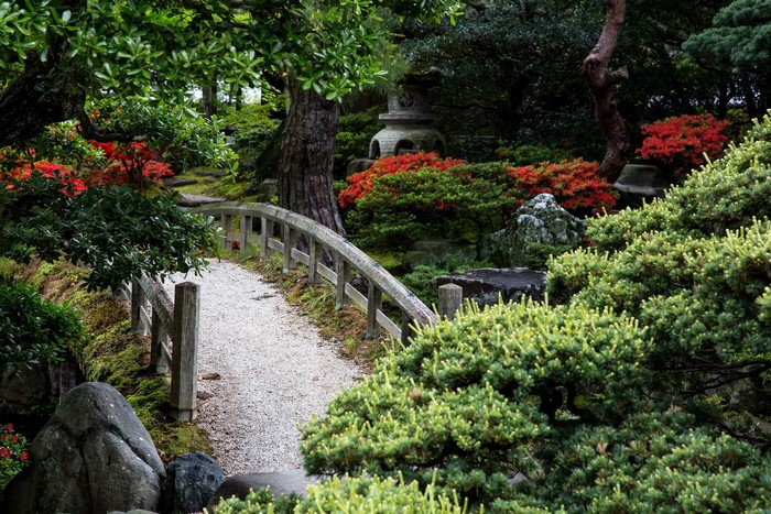 Japanese garden with a wooden bridge and flowering shrubs