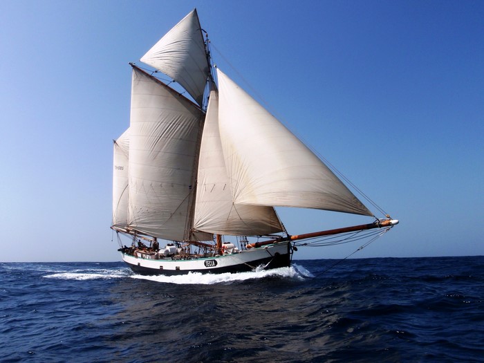 Sailboat sailing on the sea