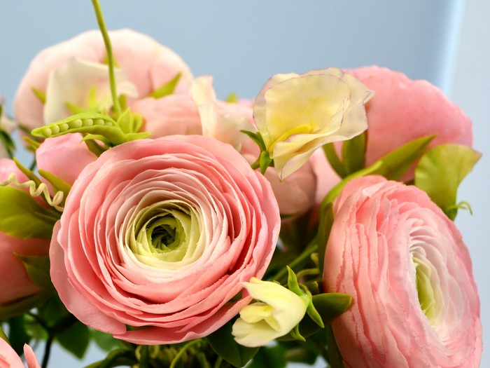 Pink Ranunculus flowers with green accents