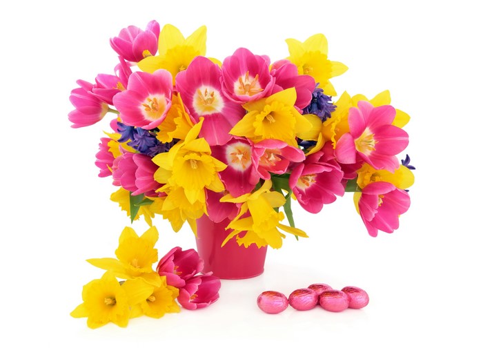 Easter Tulips and Daffodils with Chocolates