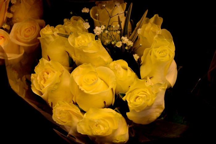 Bouquet of yellow roses with baby's breath