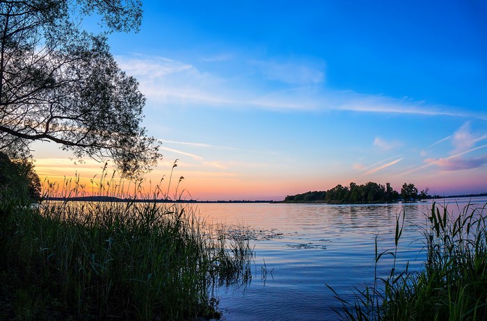 Lake at sunset with reeds and trees
