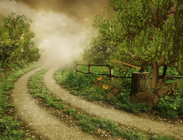 Dirt Road Through a Misty Forest with a Fence and Ax