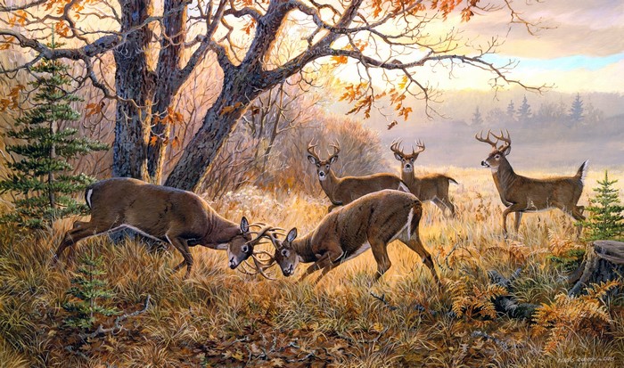 Deer fighting in a forest by Persis Clayton Weirs
