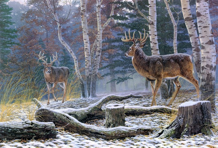 Deer in Snowy Birch Forest by Al Agnew