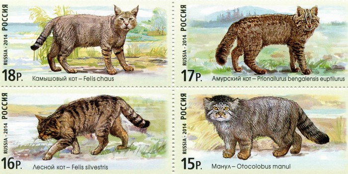Fauna of Russia: Jungle cat, Amur leopard cat, Wildcat, Manul postage stamps