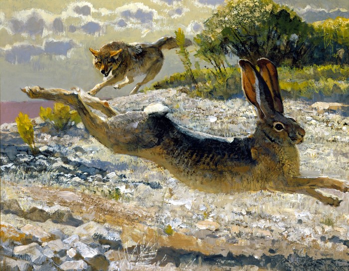 Bob Kuhn painting of a coyote chasing a jackrabbit