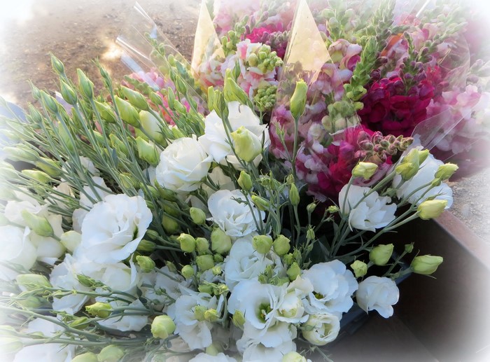Bouquets of White Eustoma and Pink Antirrhinum Flowers