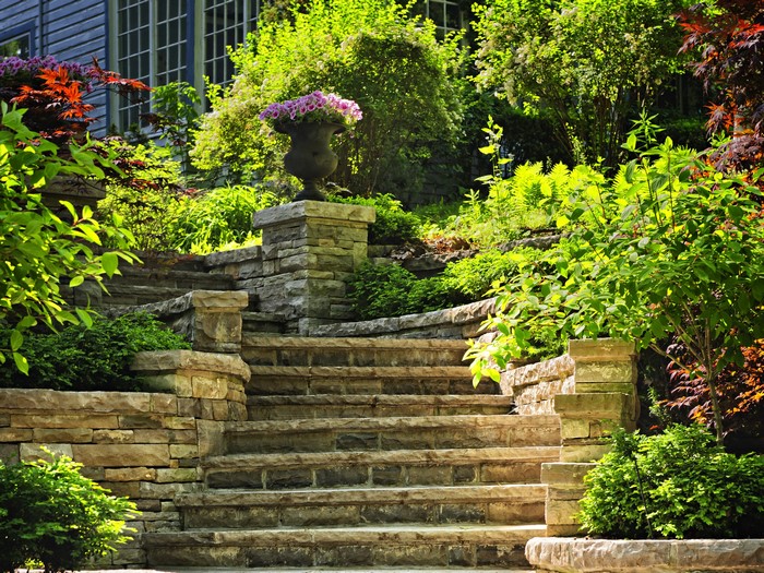 Stone stairs with lush green plants and flowers