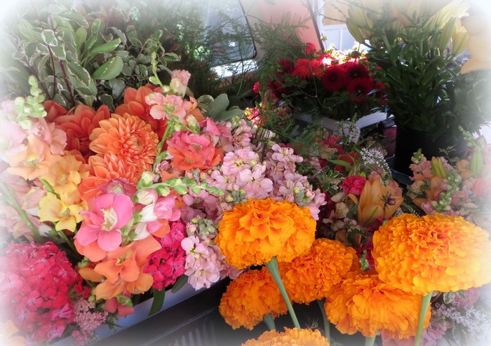 Assortment of colorful flowers including dahlias and marigolds