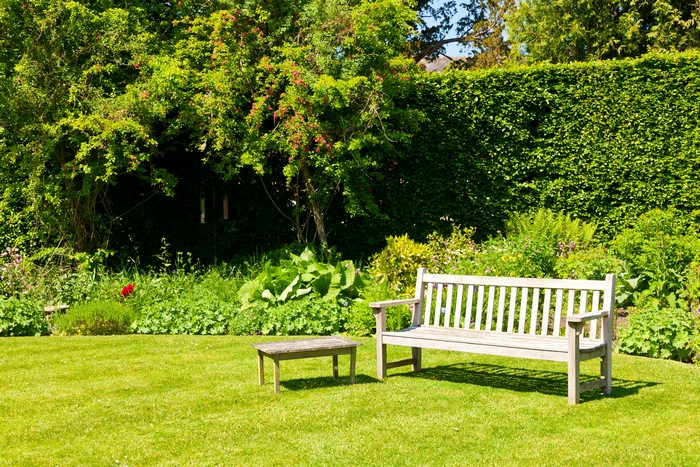Garden bench and table on a lawn with trees and hedges